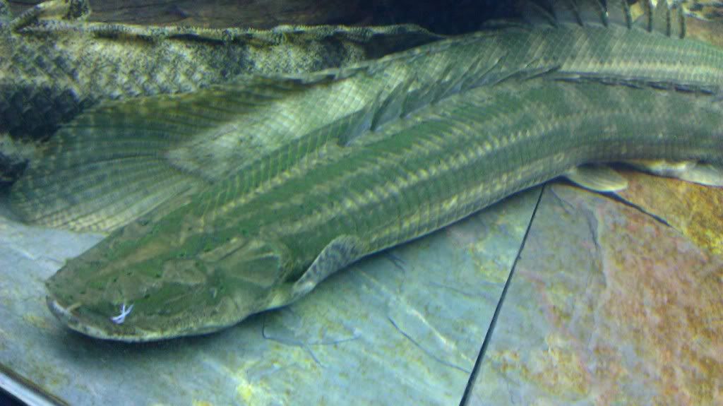 IMAG0948.jpg