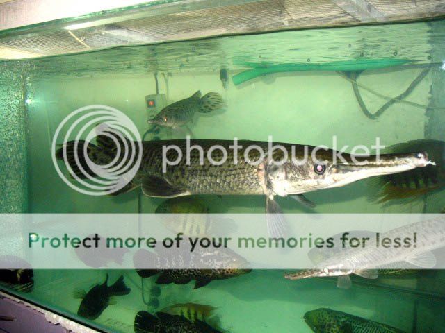 IMG_8765.jpg