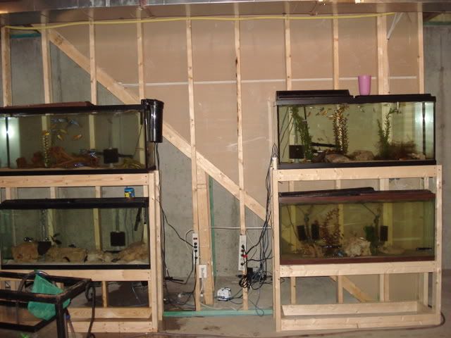 DSC01785.jpg