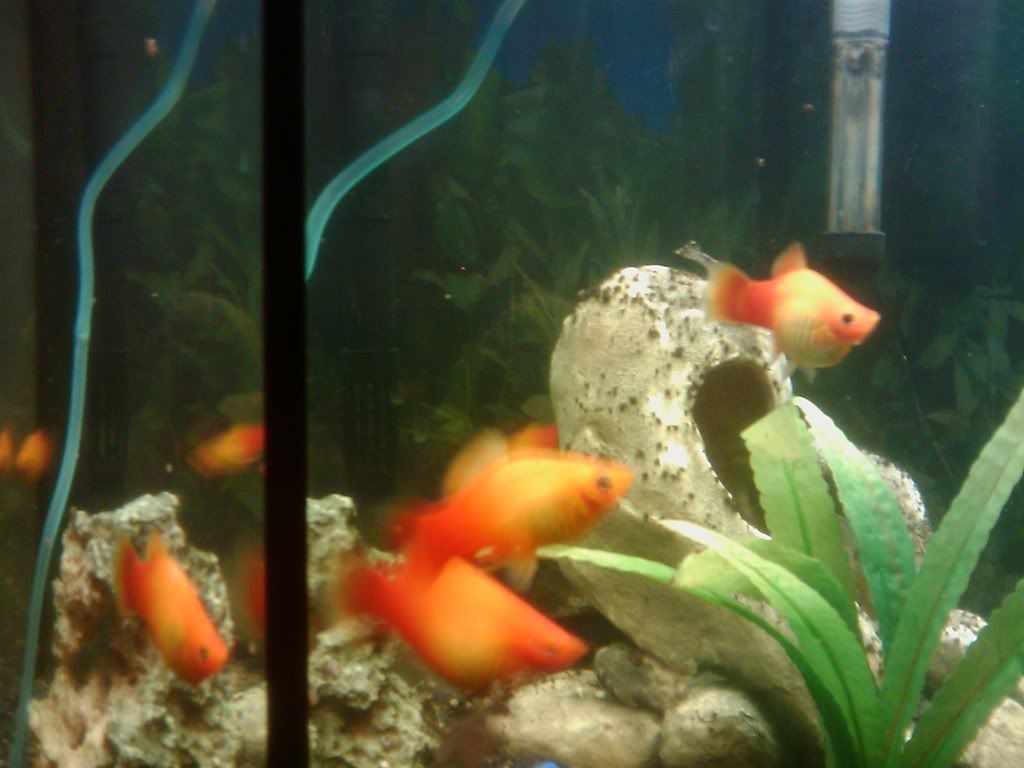 IMAG0105.jpg