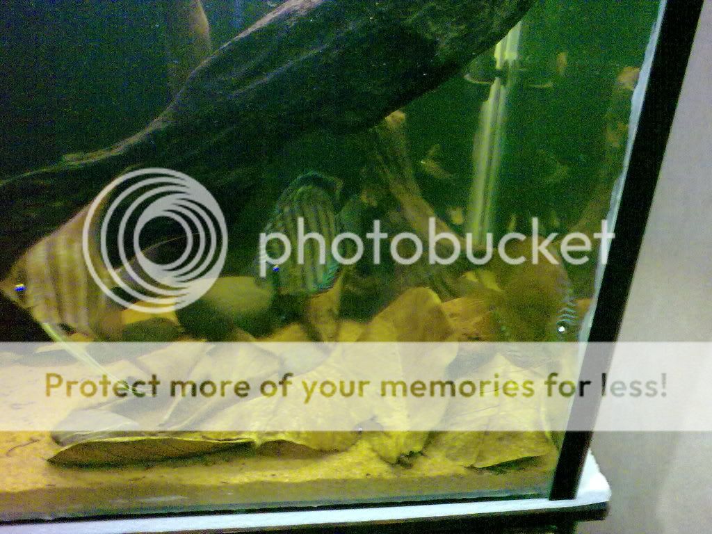 11062009224.jpg