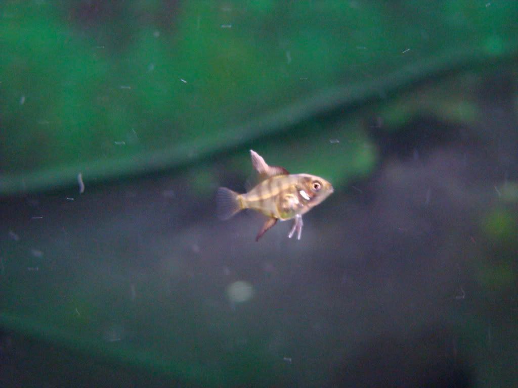 DSC01984.jpg