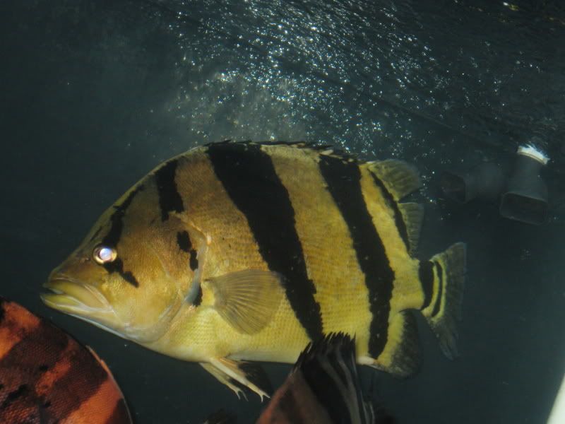 4-25-09044.jpg