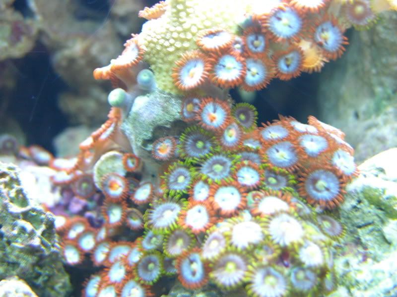 DSCN7141.jpg