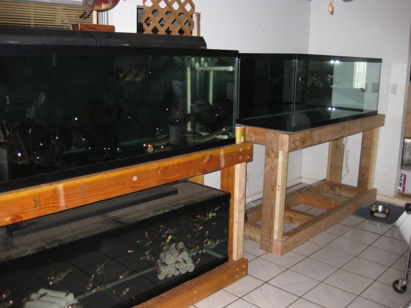 3-17-09002.jpg