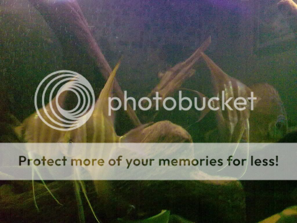 11062009238.jpg