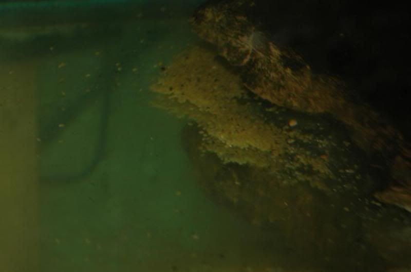 DSC_9448.jpg