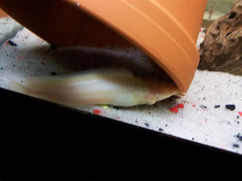 100_5355Medium.jpg