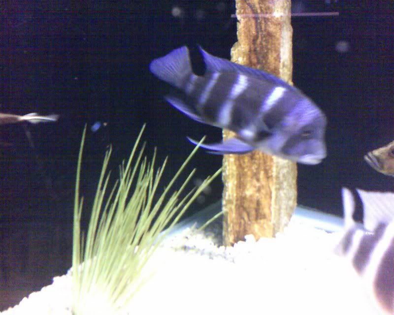 01-05-07_1739.jpg
