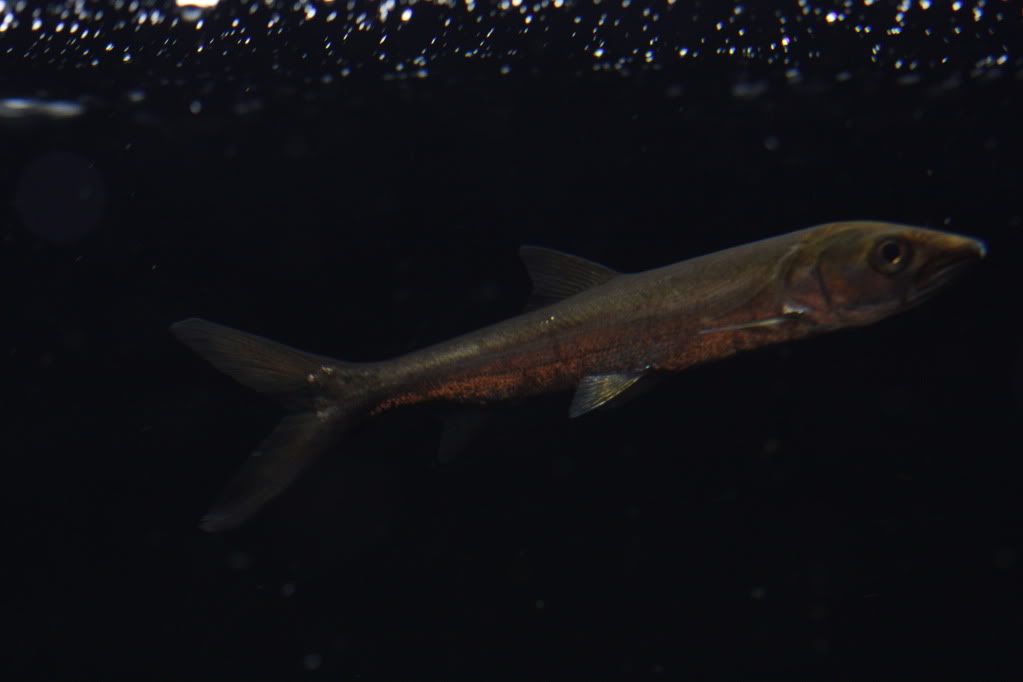 IMG_8509.jpg