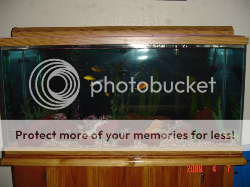 DSC02200.jpg