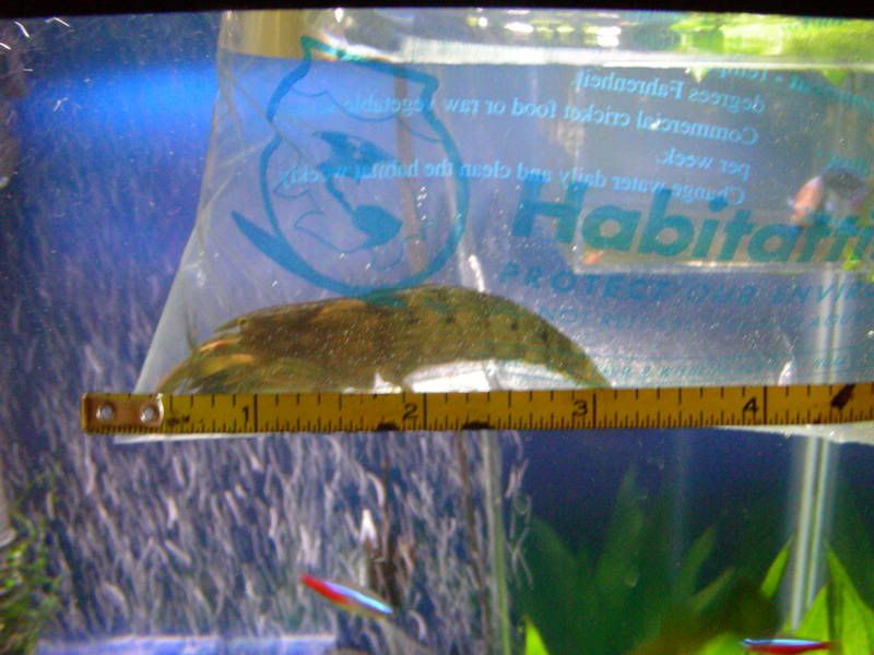 DSCN2530.jpg