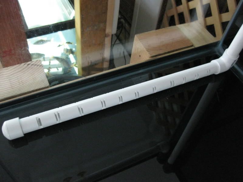 3-17-09031.jpg