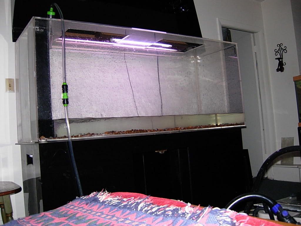 Oct07newtank014.jpg