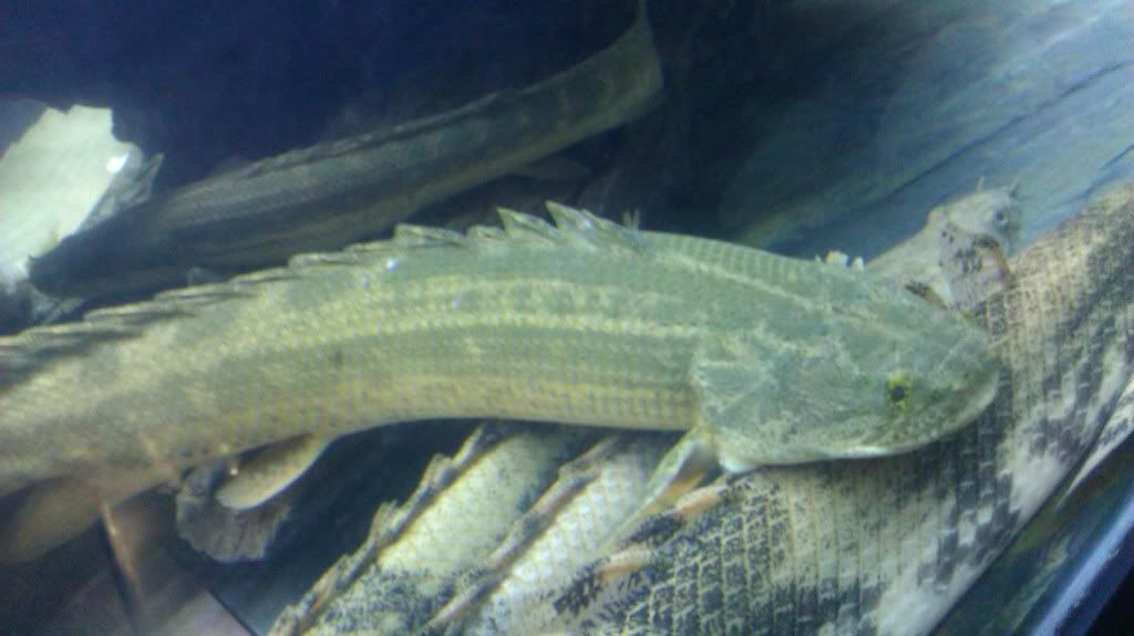 IMAG0758.jpg
