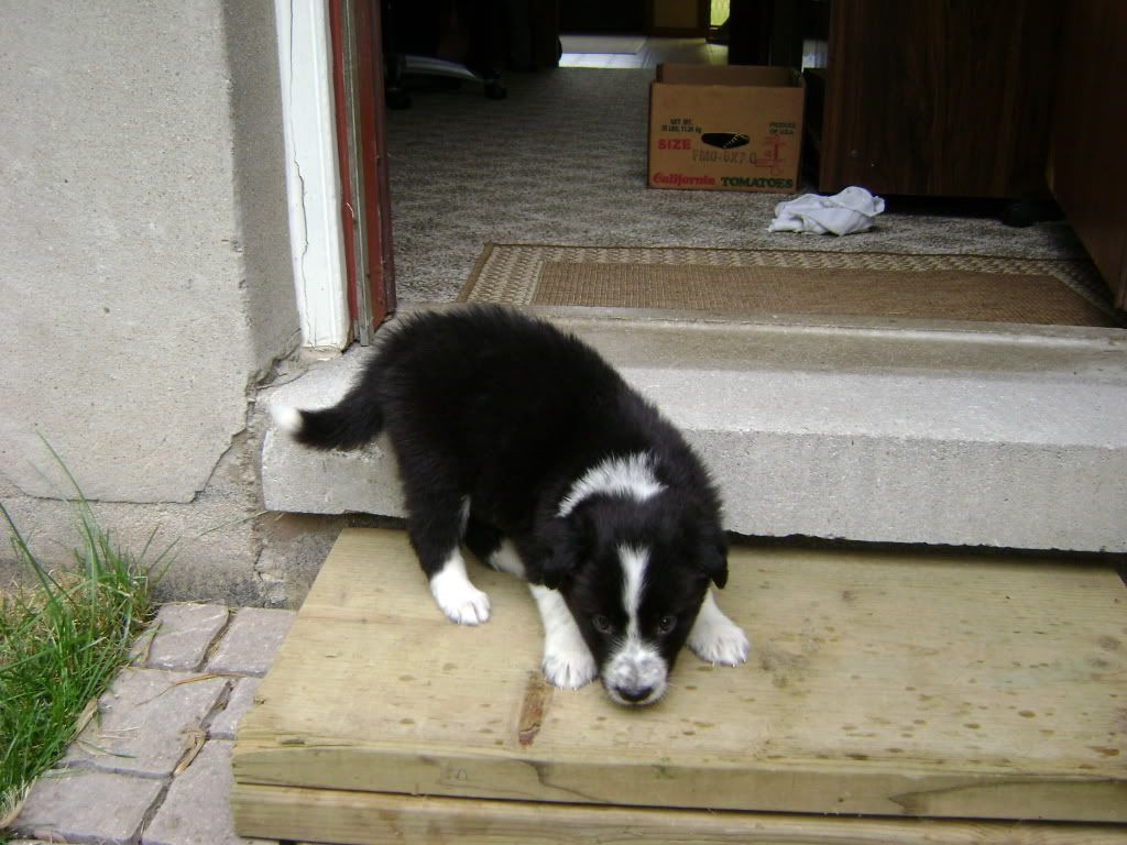 Picture103.jpg
