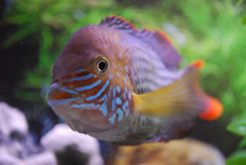 DSC_1361.jpg