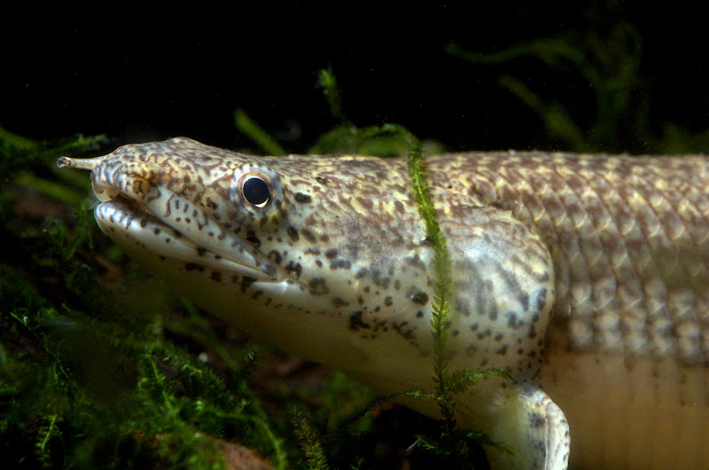 DSC_1976.jpg