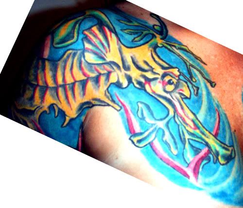 Seadragon--Head.jpg