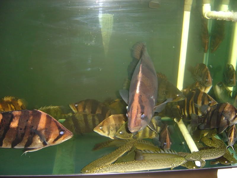 10-18-08009.jpg