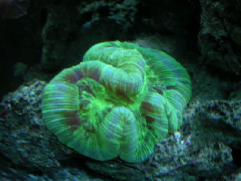 DSCN7128.jpg
