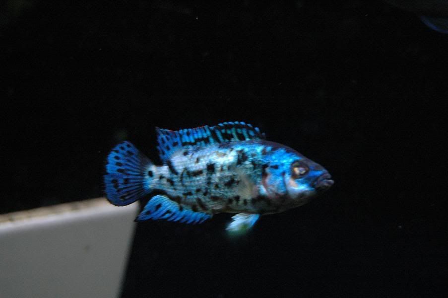 DSC_3773.jpg