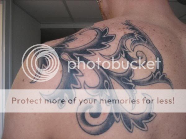 back.jpg