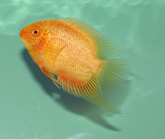 d65e5308.jpg