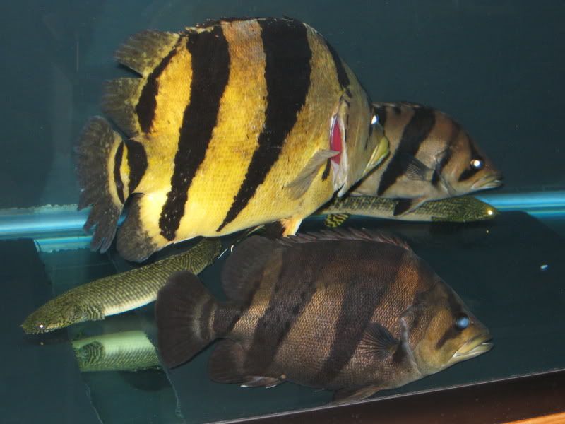 4-21-09003.jpg