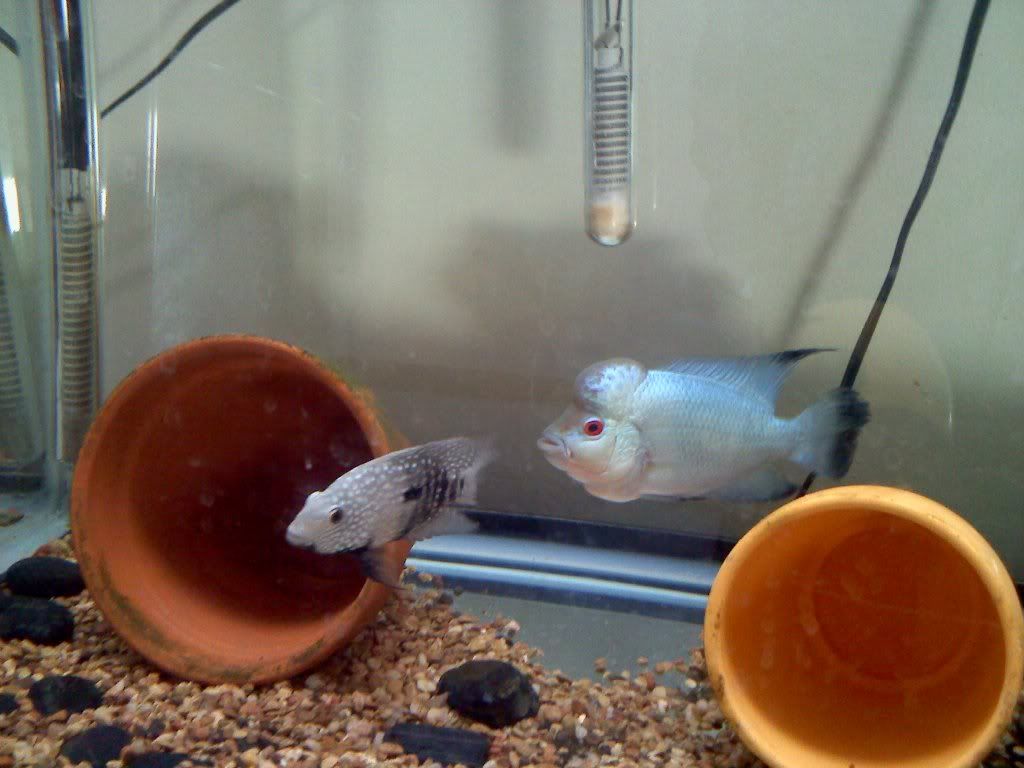 20130106103043.jpg