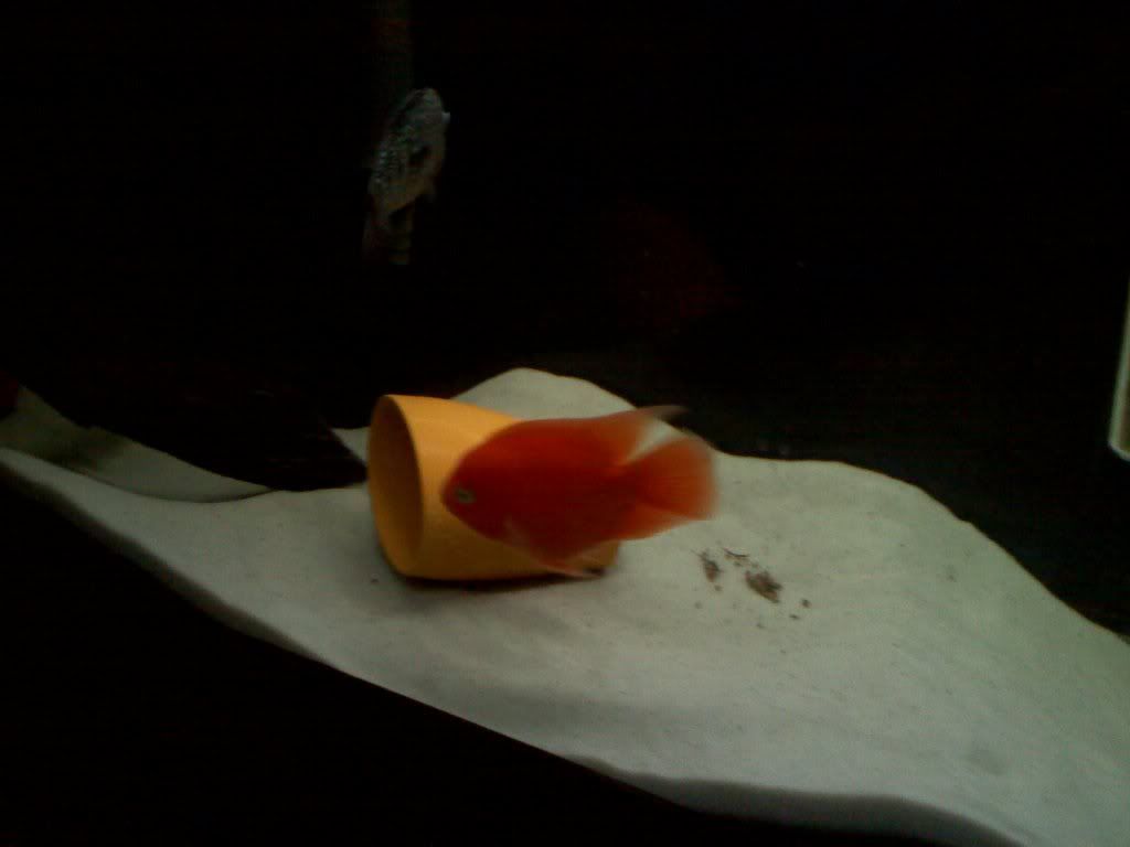 20120303184751.jpg