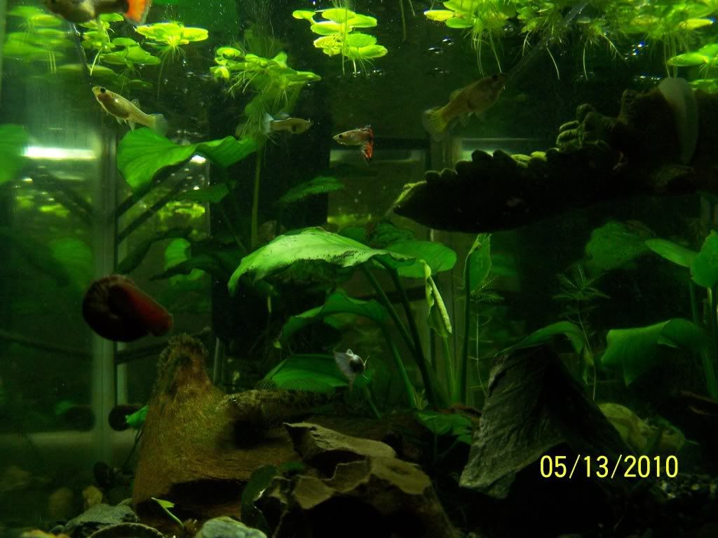 Picture031.jpg