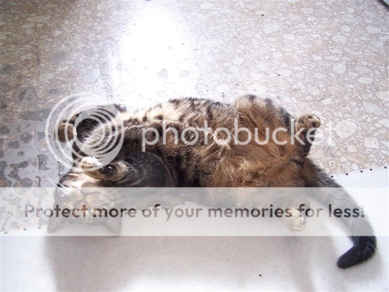 100_3177Medium.jpg