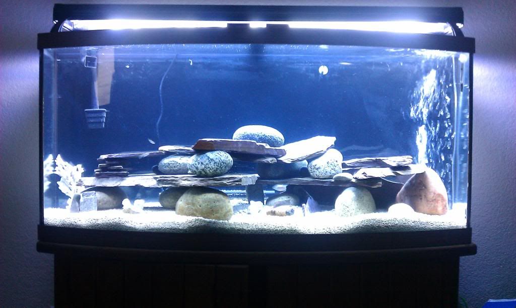 IMAG0287.jpg