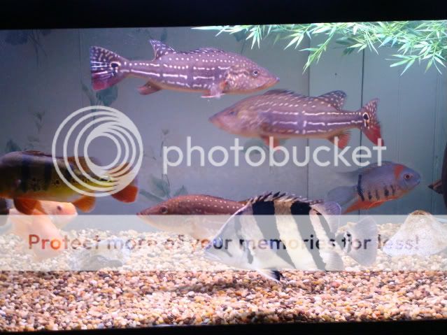 DSC02959.jpg