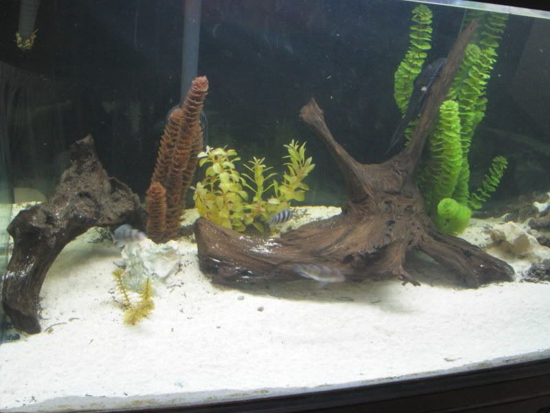 DSCN2568.jpg