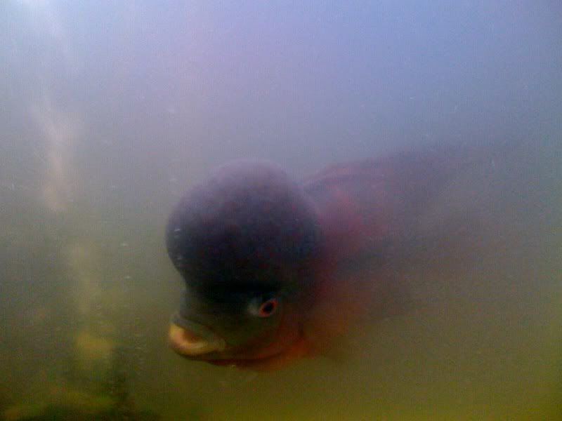 photo7.jpg