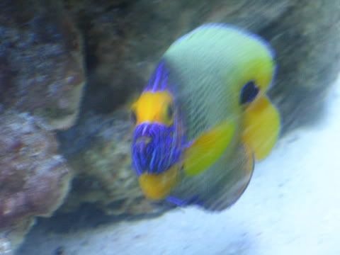 IMG_0454.jpg