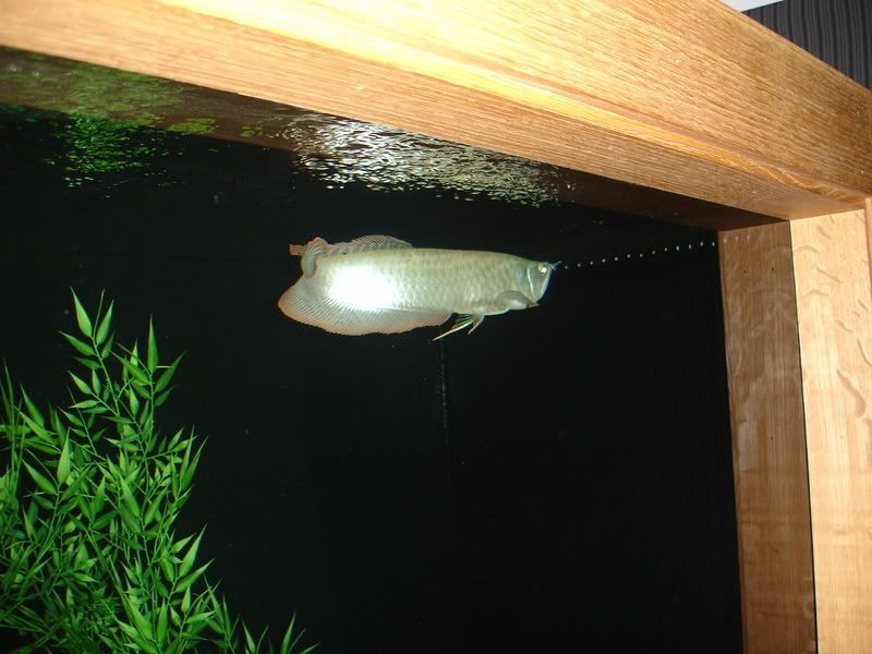 DSC02469.jpg