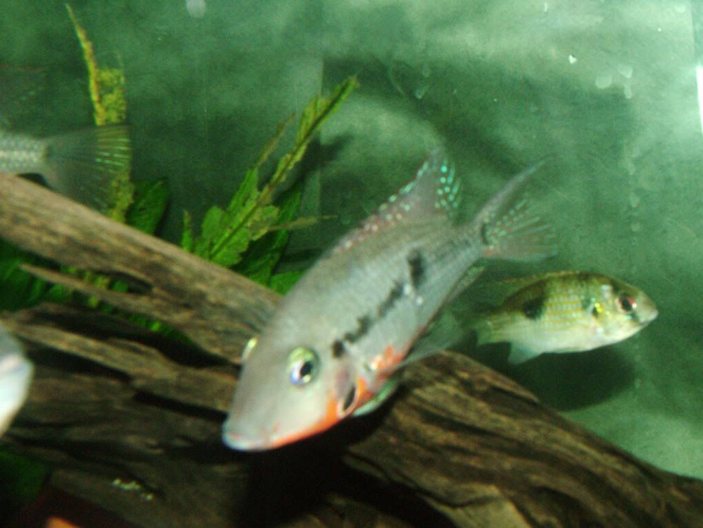 DSCF5403.jpg