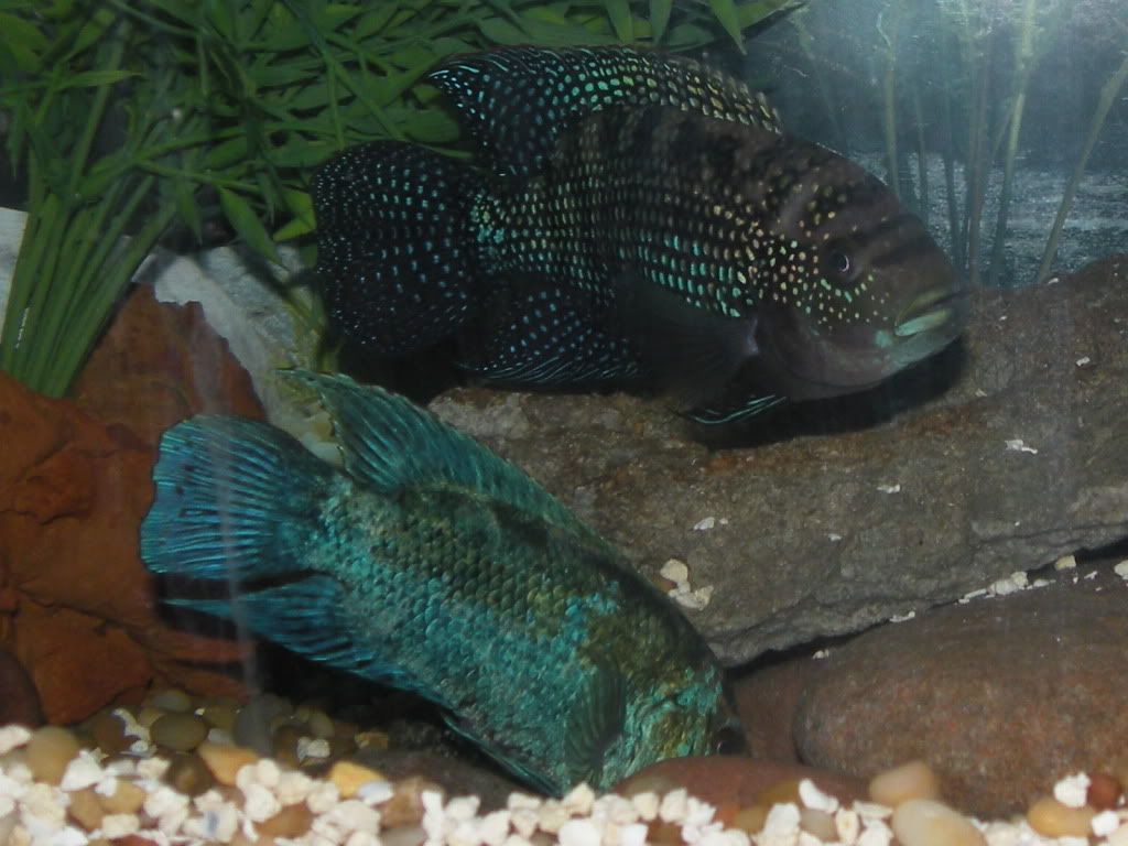 RSCN0440.jpg