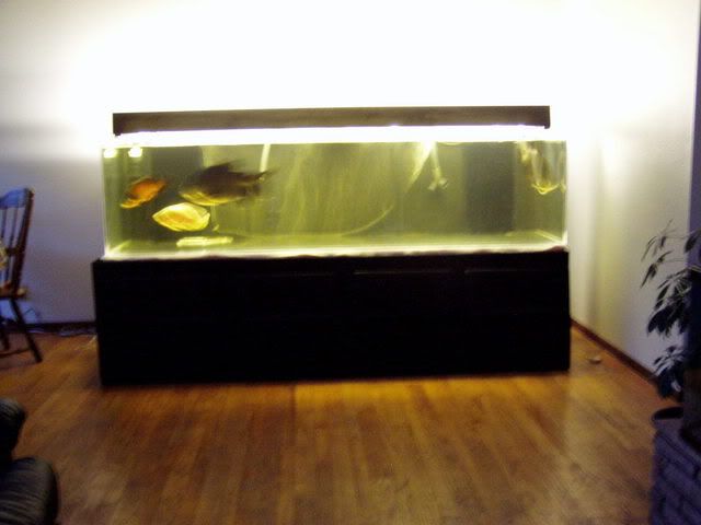 tank-07.jpg