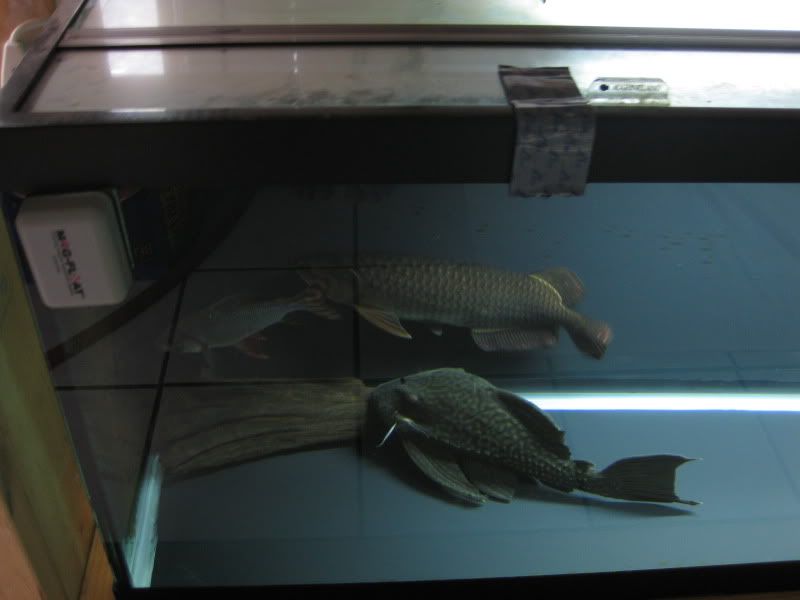 11-7-09030.jpg