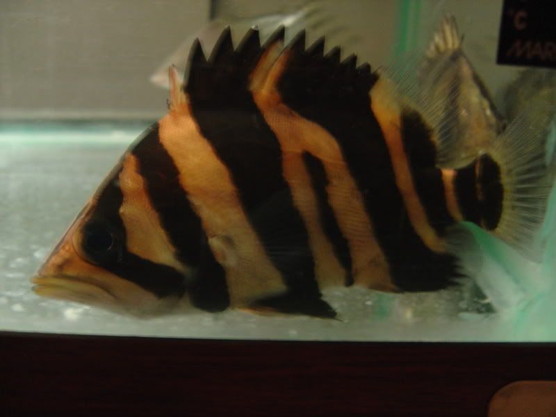 6-6-08014.jpg