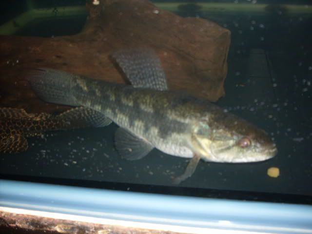 SDC10174.jpg
