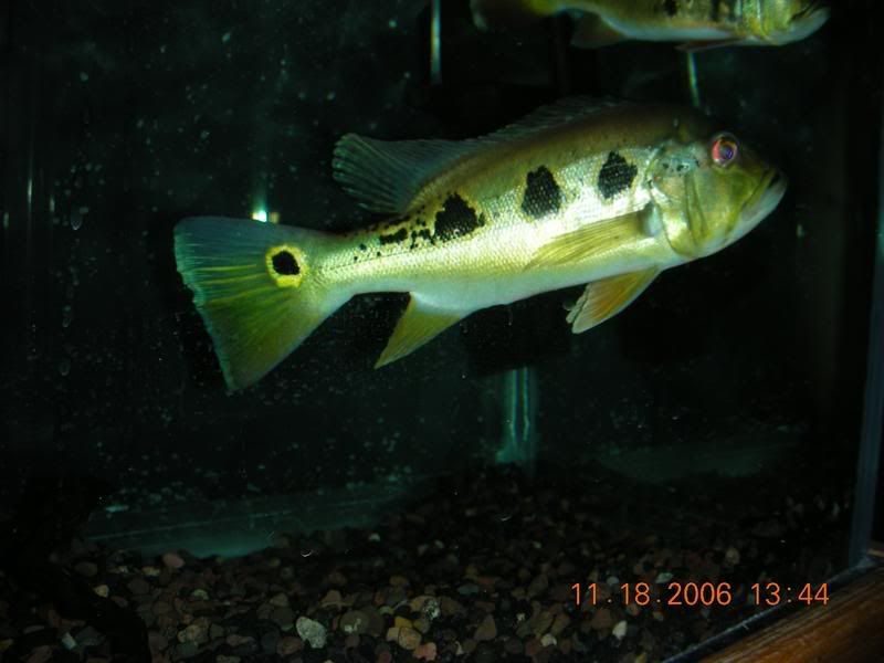 DSCN0938.jpg