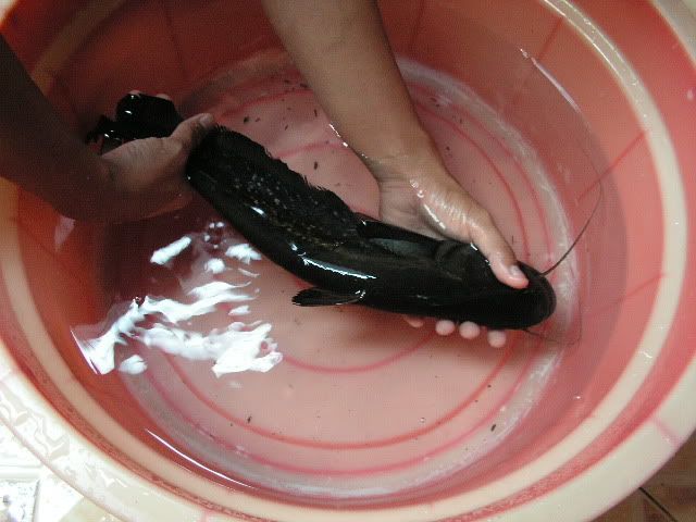 PICT0633.jpg