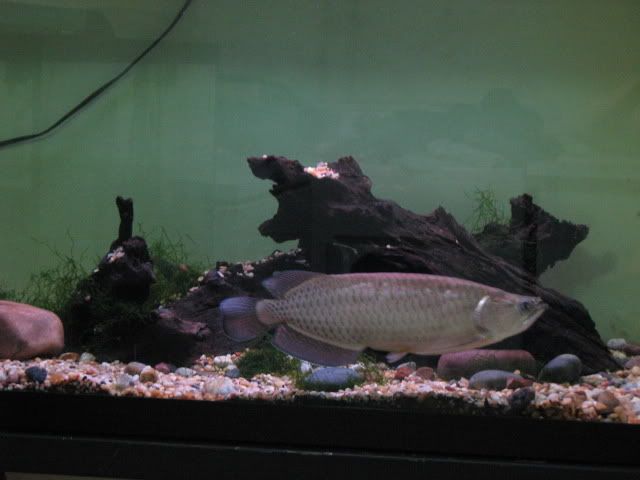 IMG_1675.jpg
