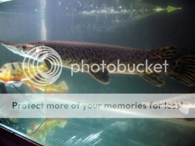 IMG_8320.jpg