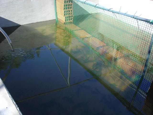 DSC09048.jpg